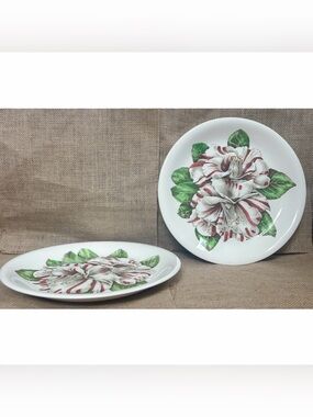 Vintage Johnson Brothers Camellia Floral Dinner Plates Set of 2 Cottagecore